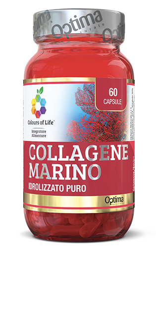 MARINE COLLAGEN