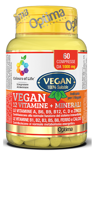 Vegan 12 Vitamins + Minerals