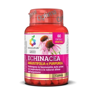 ECHINACEA